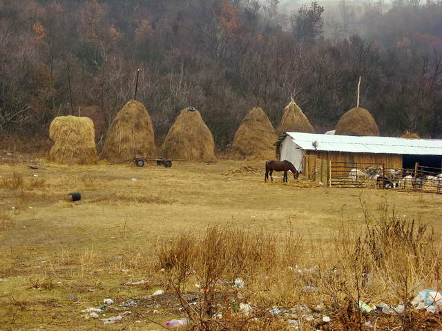 18 dcembre : En route vers Craiova, traverse de villages traditionels.